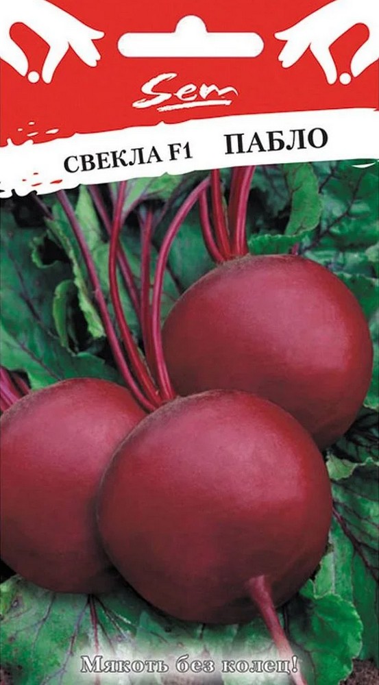 Свекла Пабло, 50 г. Русский огород
