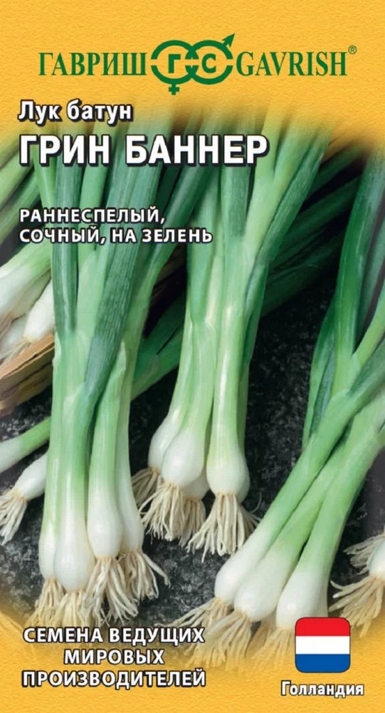 Лук батун Грин Баннер, 0,2 г. Голландия.