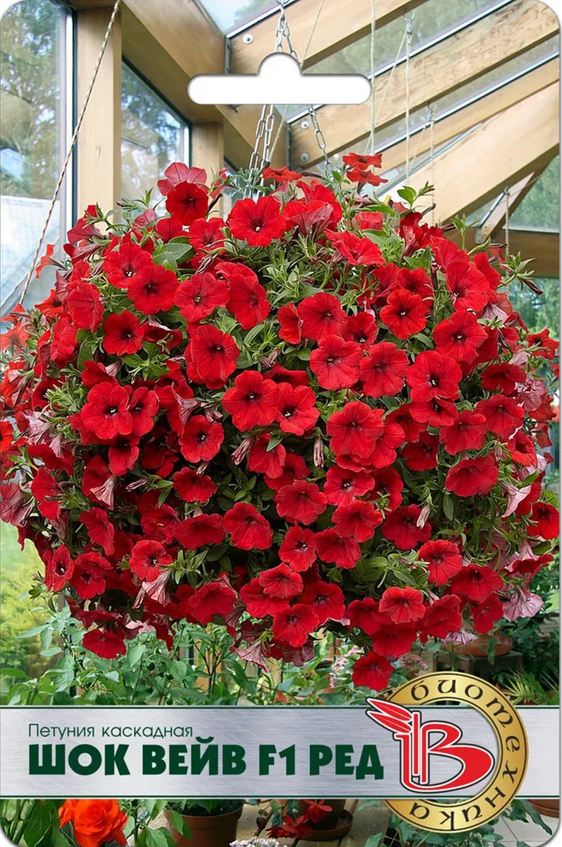 Петуния каскадная Шок Вейв F1 Ред, 5 шт. Биотехника