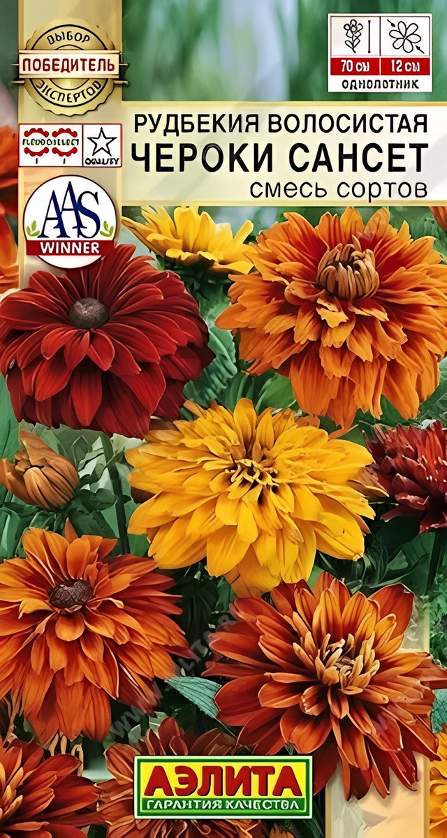 Рудбекия Чероки сансет, смесь сортов, 5 шт.