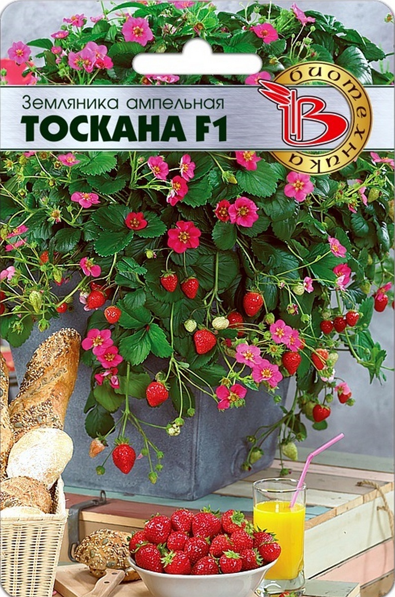 Земляника ампельная Тоскана F1, 5 шт. Биотехника