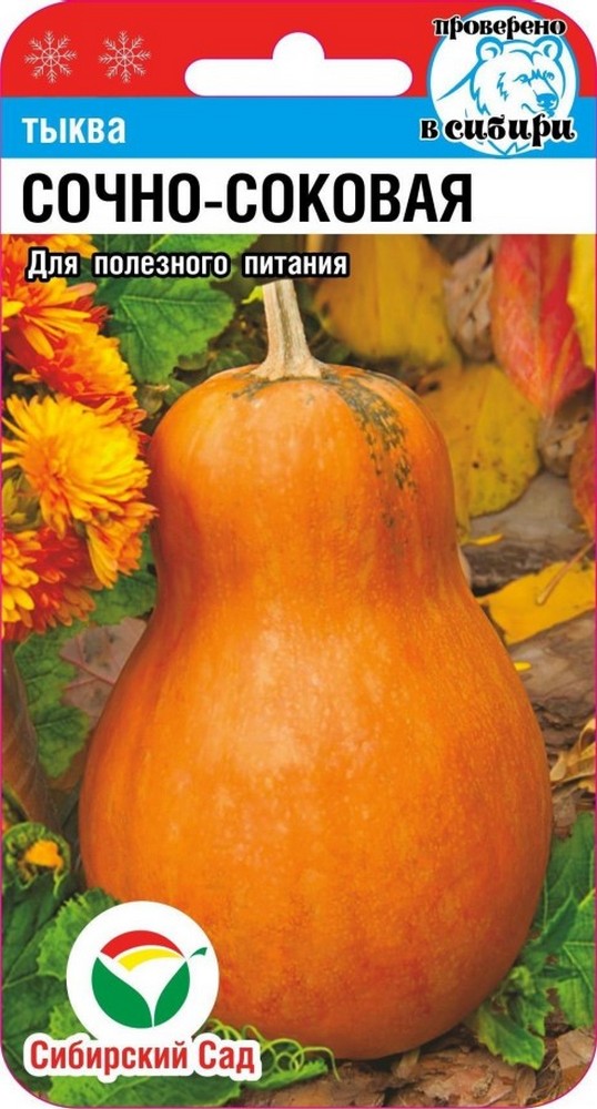 Тыква Сочно-соковая, 5 шт. Сибирский сад