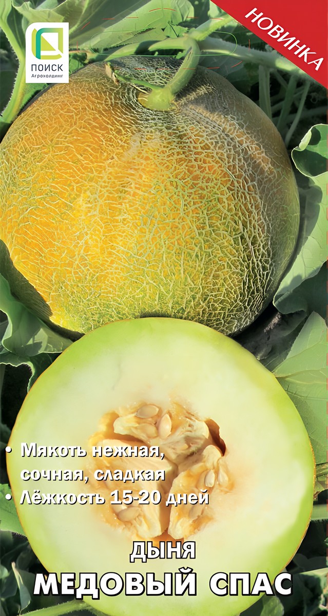 Дыня Медовый Спас 10шт.