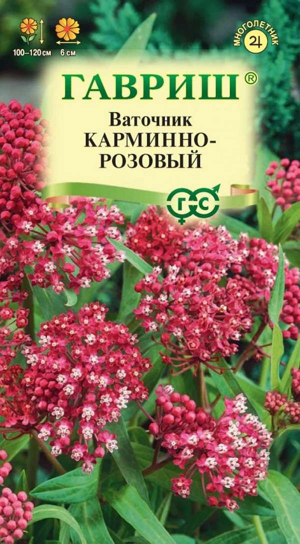 Ваточник мясо-красный Карминно-розовый, 0,03 г 