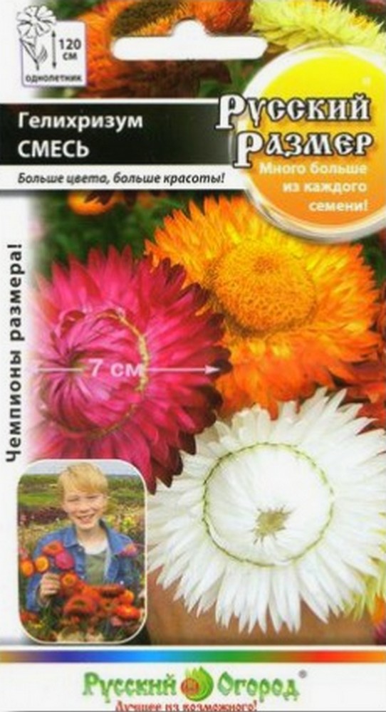 Гелихризум Русский Размер, смесь, 100 шт. Русский огород