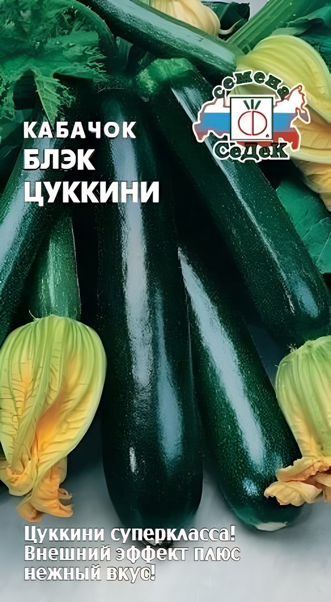 Кабачок Блэк Цуккини, 2 г. Седек.
