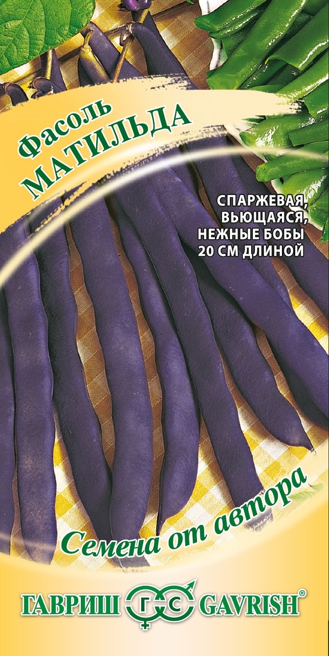 Фасоль Матильда, 5 г. Авторские семена.