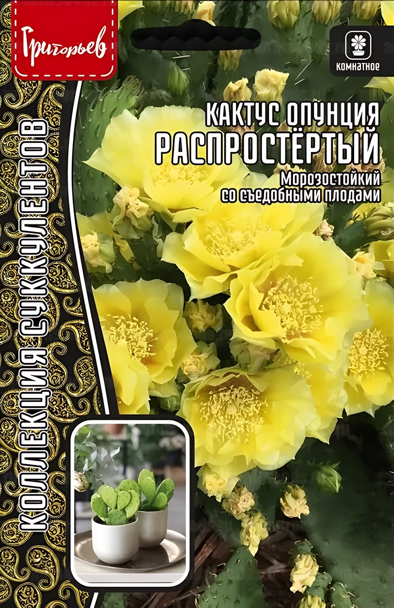 Кактус опунция Распростёртый, 4 шт.