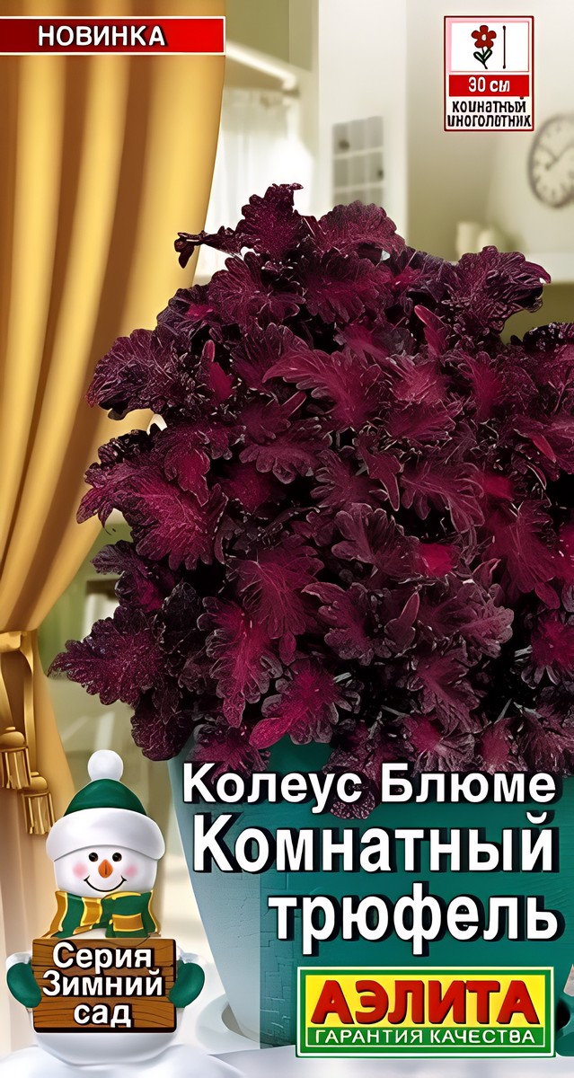 Колеус Комнатный трюфель, 5 шт.