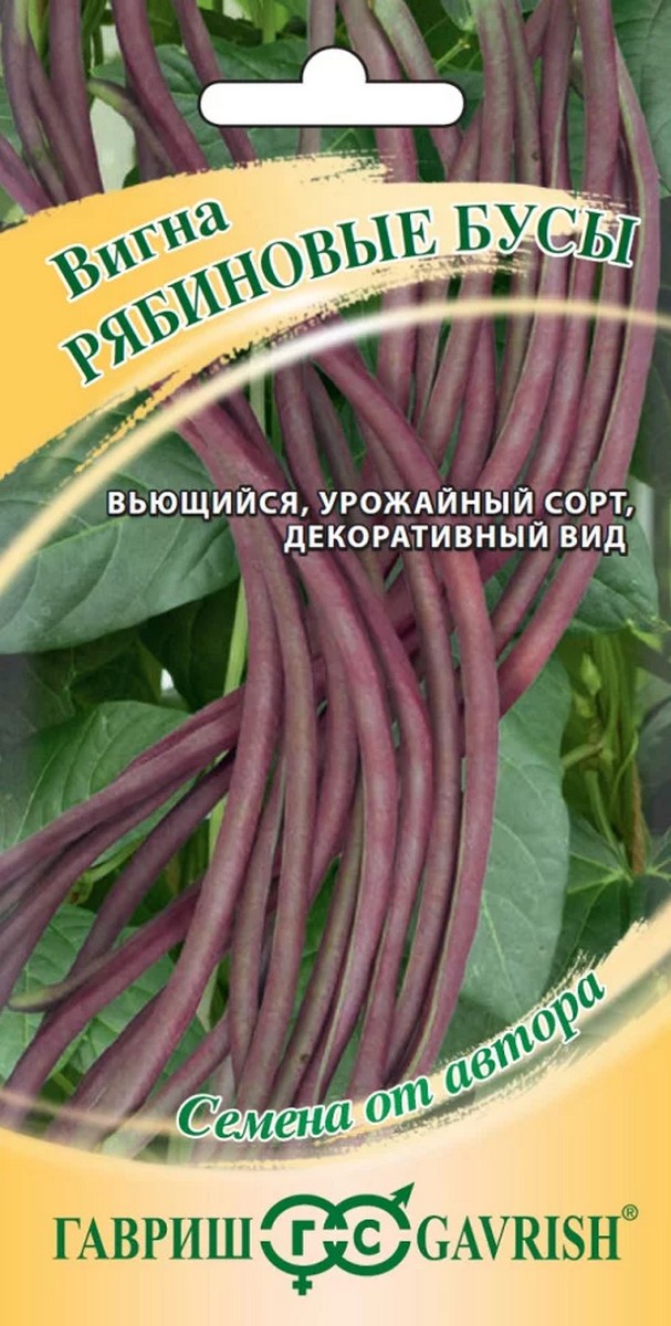 Вигна Рябиновые бусы, 10 шт. Авторские семена.