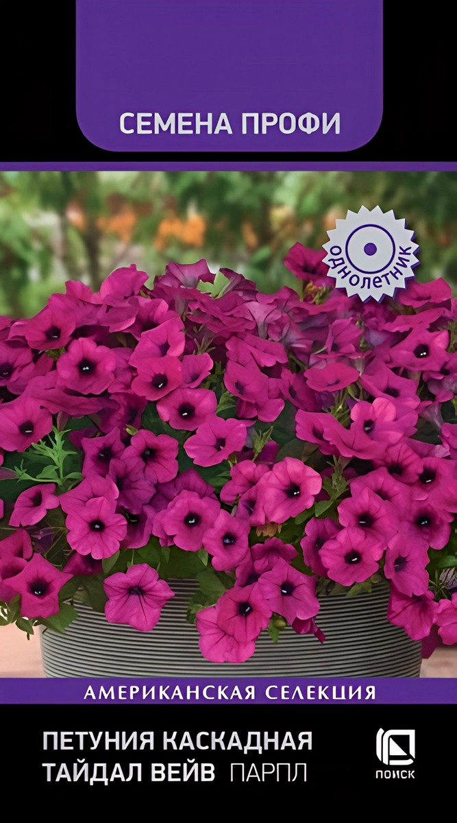 Петуния каскадная Тайдал Вейв Парпл, 5 шт. Семена Профи
