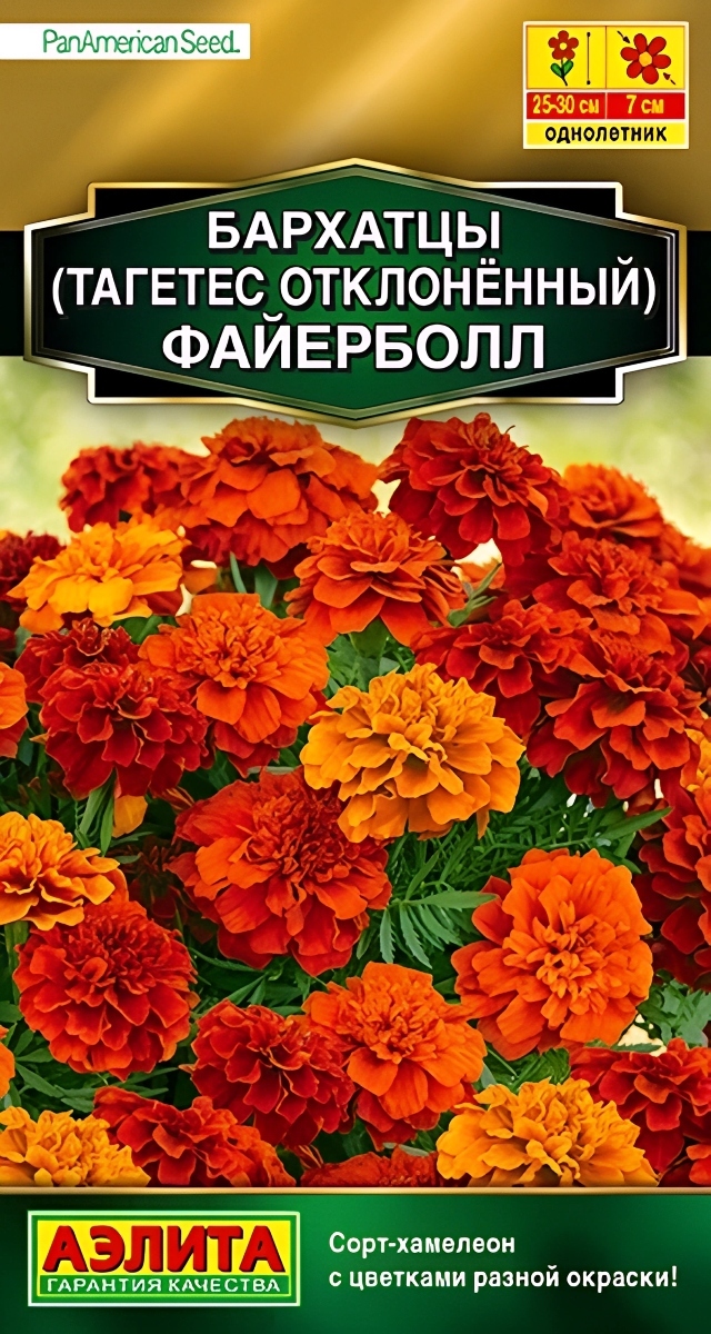 Бархатцы Файерболл отклоненные, 5 шт.