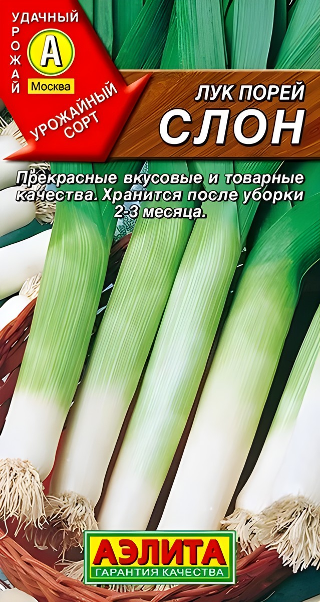 Лук порей Слон, 1 г