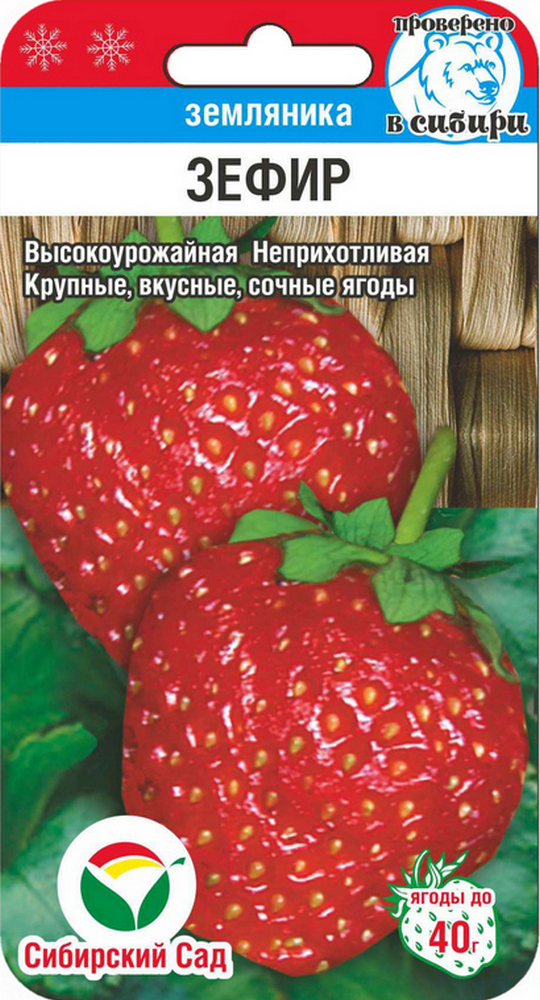 Клубника Зефир, 10 шт. Сибирский сад