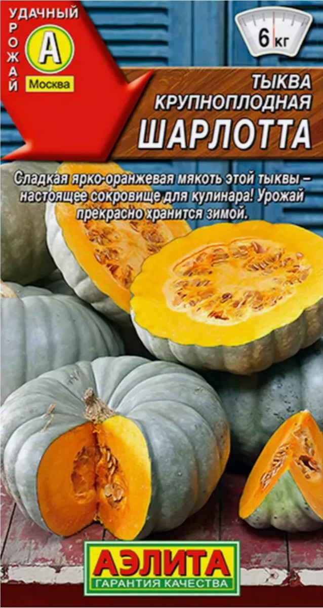 Тыква крупноплодная Шарлотта, 2 г
