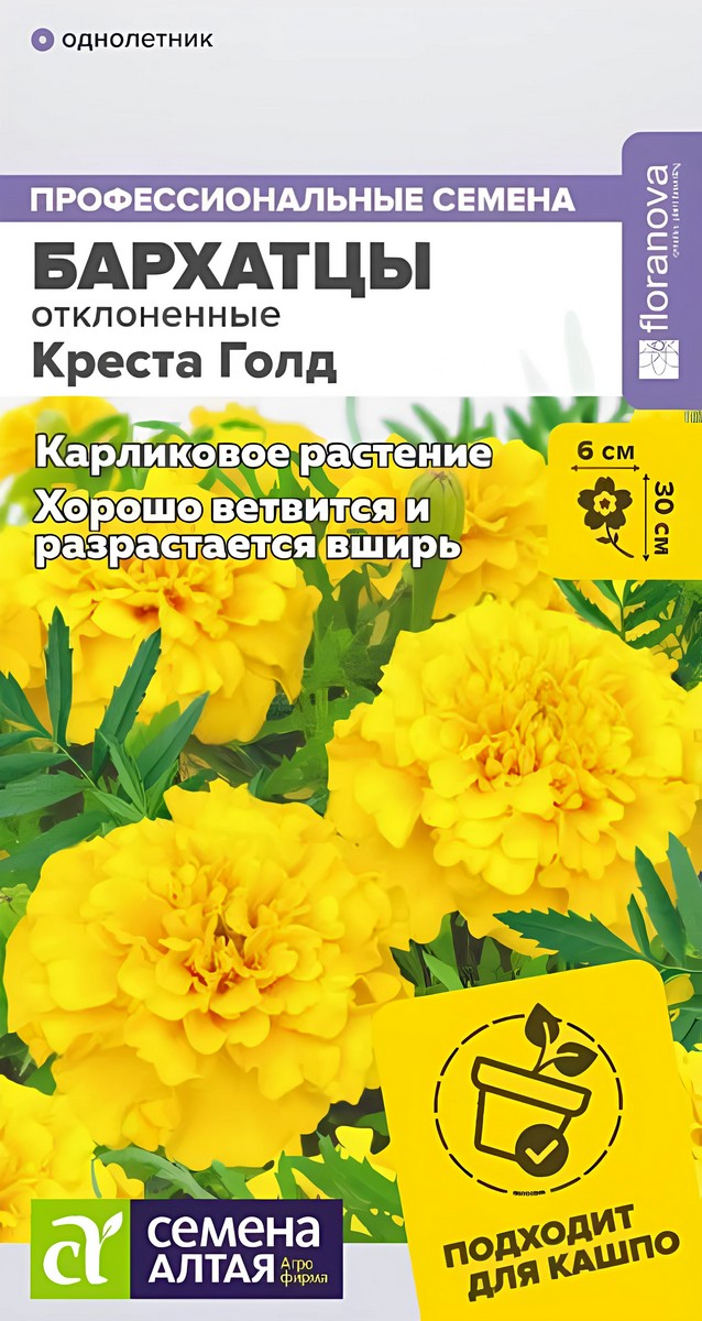 Бархатцы махровые Креста Голд, 5 шт. 