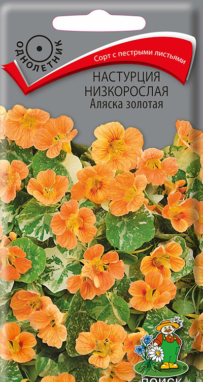 Настурция низкорослая Аляска золотая, 1 г