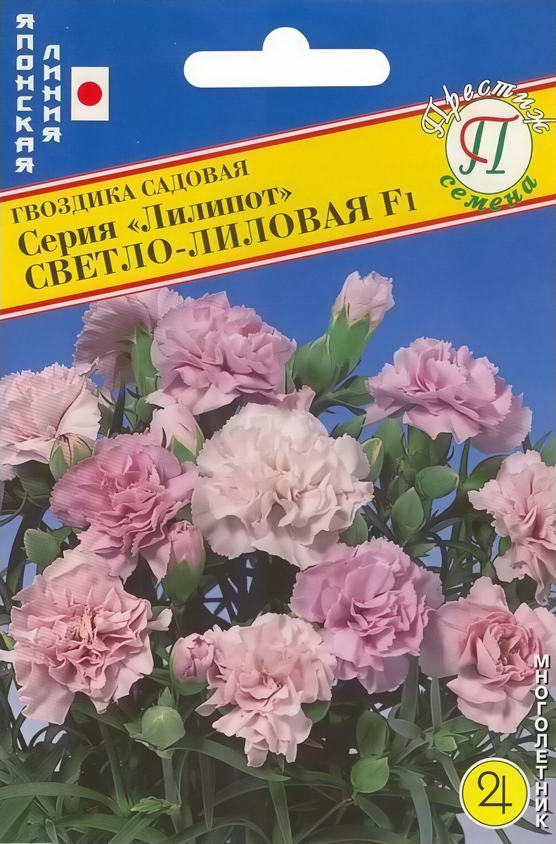 Гвоздика Лилипот Светло-Лиловая, 5 шт. Японская серия