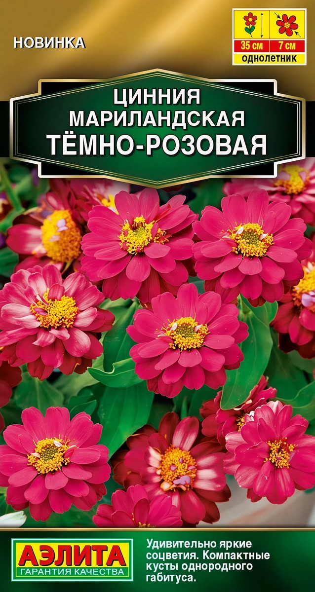 Цинния мариландская Тёмно-розовая, 15 шт.