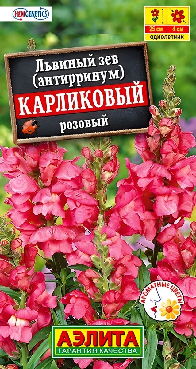 Львиный зев Карликовый, розовый, 10 шт.