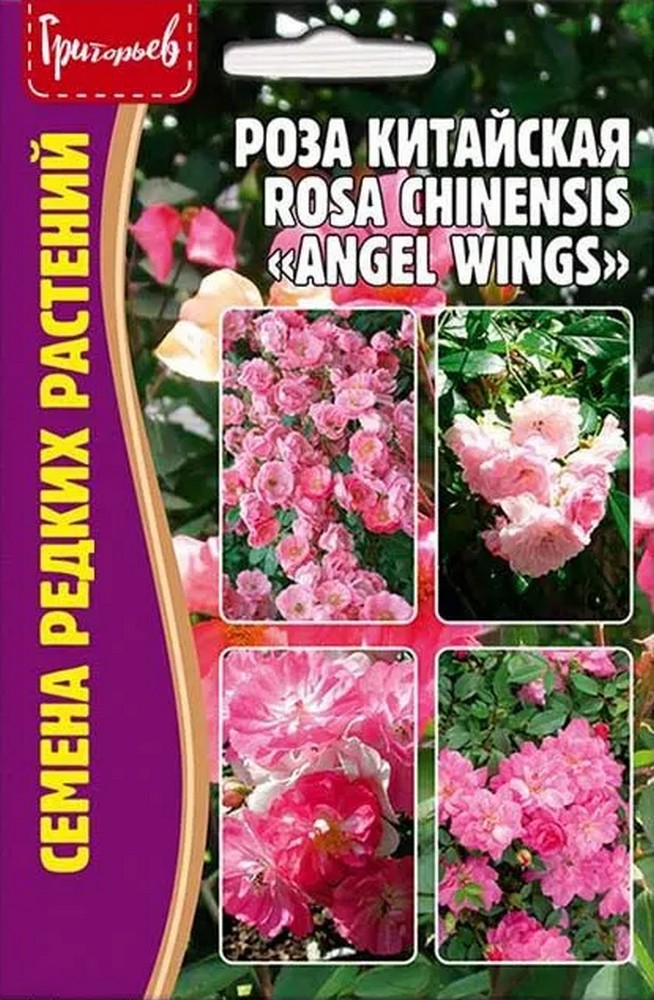Роза китайская Angel Wings (Крылья Ангела), 10 шт.