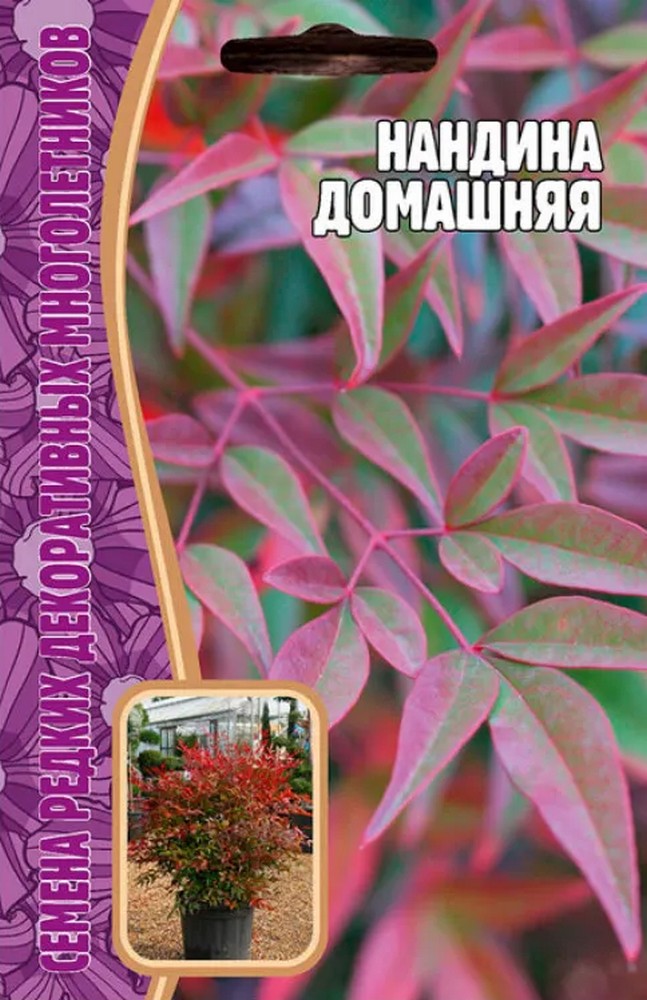 Нандина Домашняя, 4 шт.