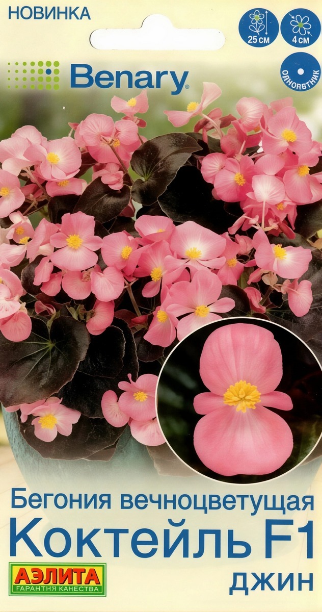 Бегония вечноцветущая Коктейль F1 джин, 7 шт.