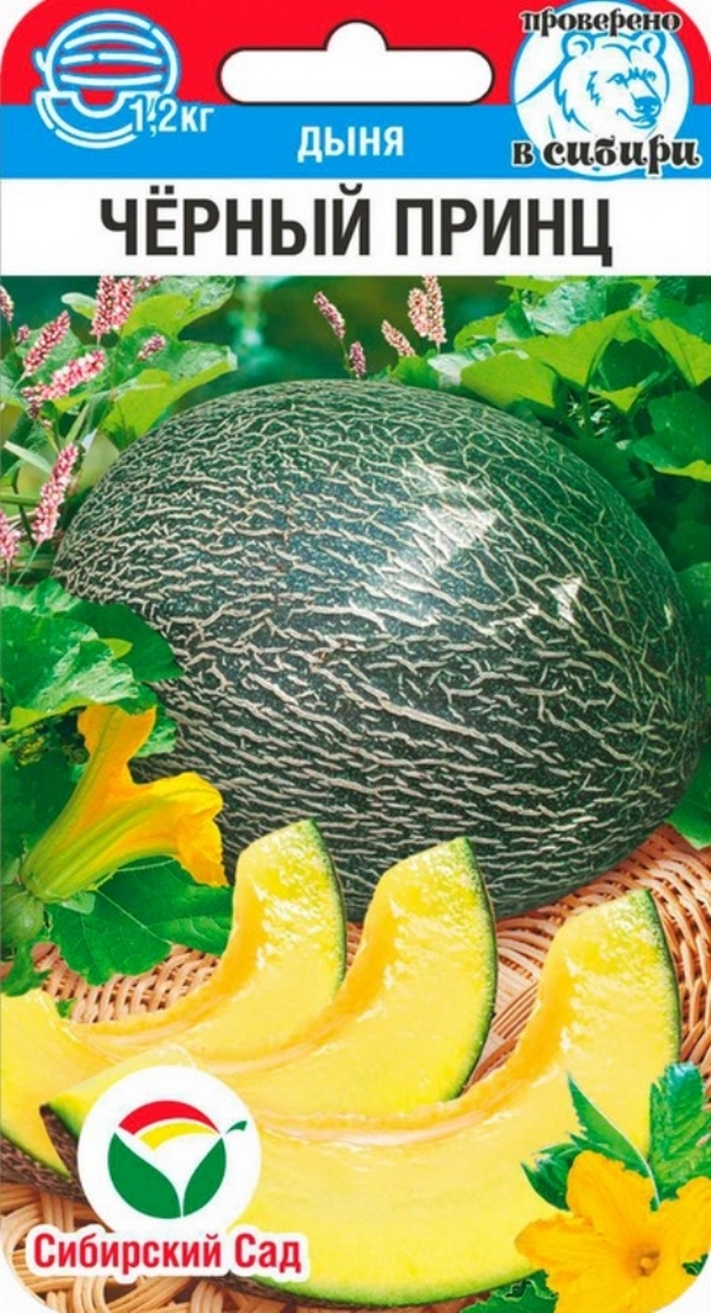 Дыня Черный принц, 5 шт.
