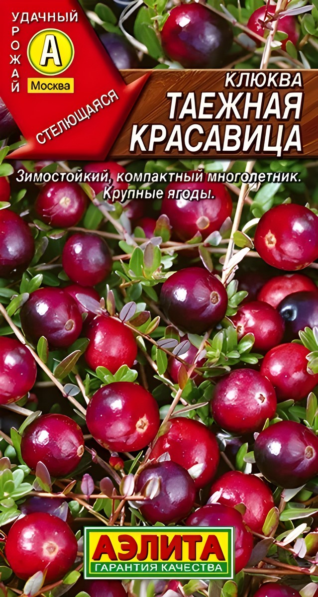 Клюква Таежная красавица, 0,02 г