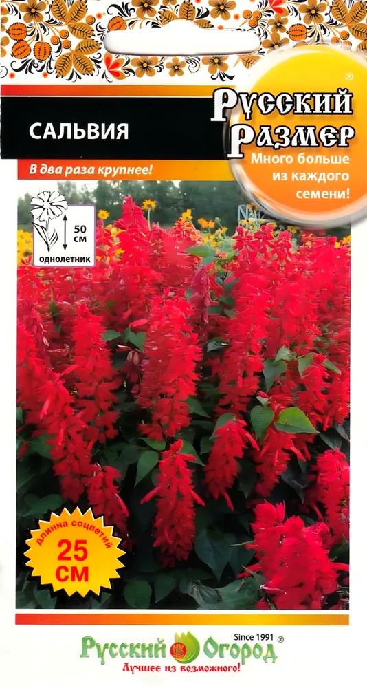 Сальвия Русский Размер, 20 шт. Русский огород