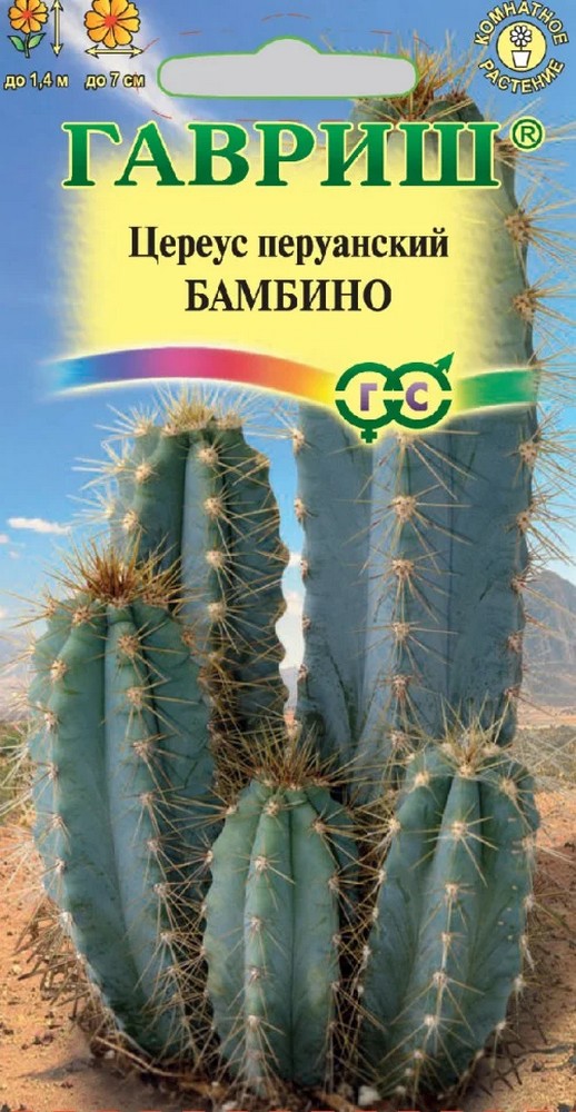 Цереус перуанский Бамбино, 5 шт.