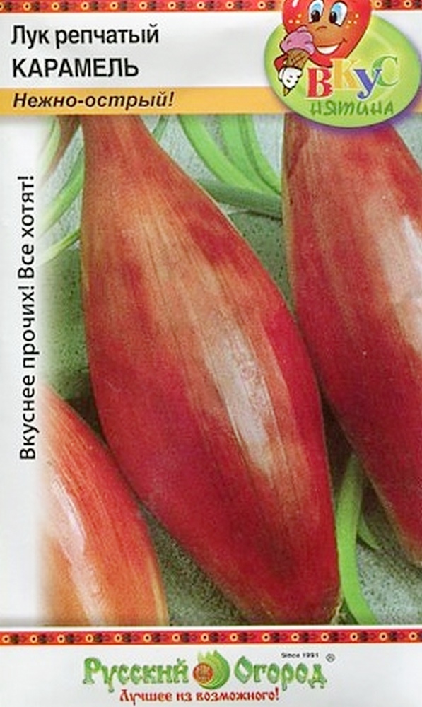Лук репчатый Карамель, 1 г Русский огород