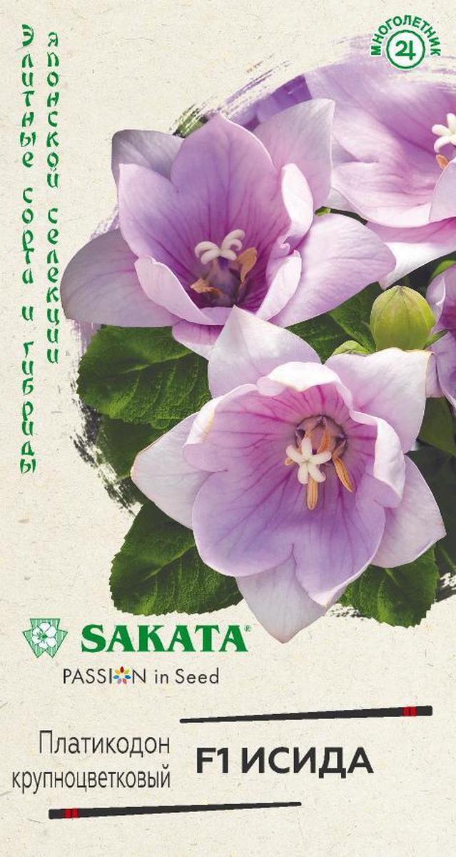 Платикодон крупноцветковый Исида F1, 4 шт. Саката.