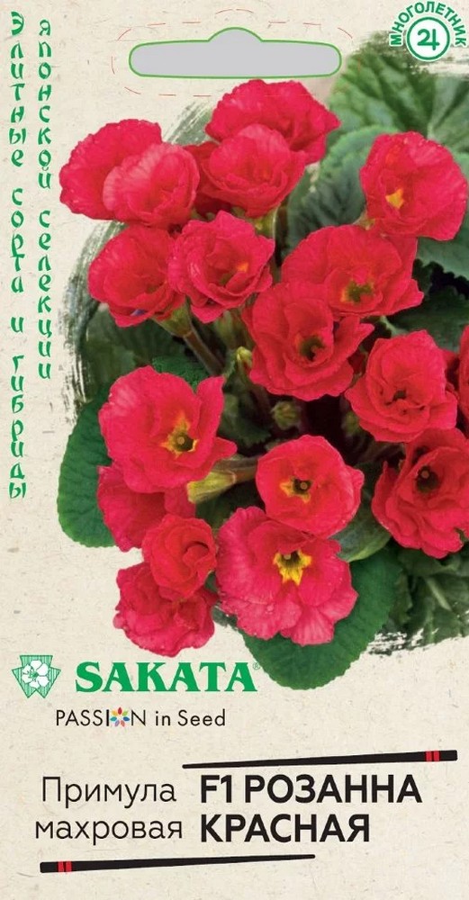 Примула махровая F1 Розанна красная, 4шт. Саката.