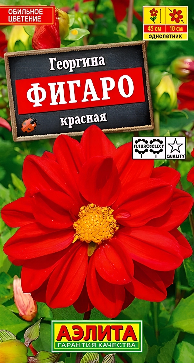 Георгина Фигаро, красная, махровая, 7 шт.