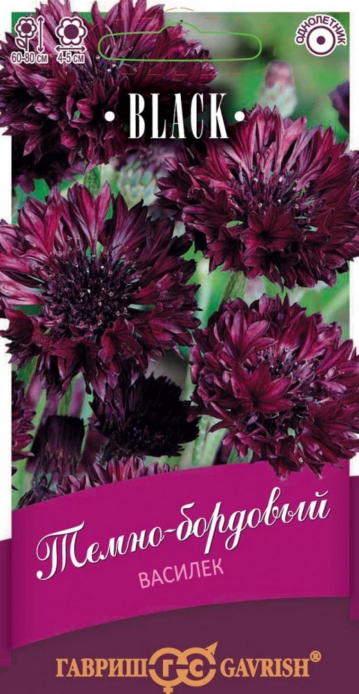 Василек Темно-бордовый, 0,2 г. Black