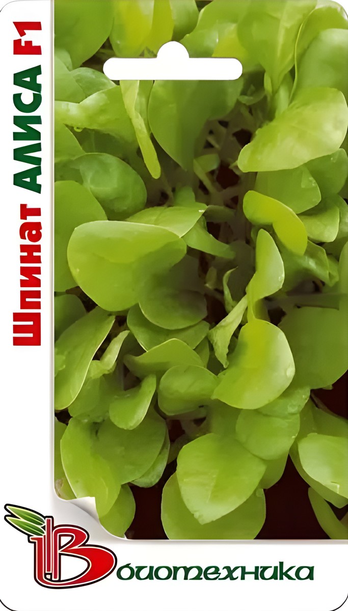 Шпинат Алиса F1, 1 г Биотехника