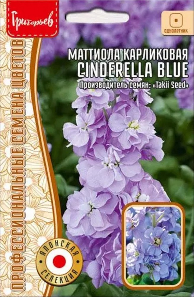 Маттиола Cinderella Blue (Золушка синий) карликовая махровая, 5 шт.