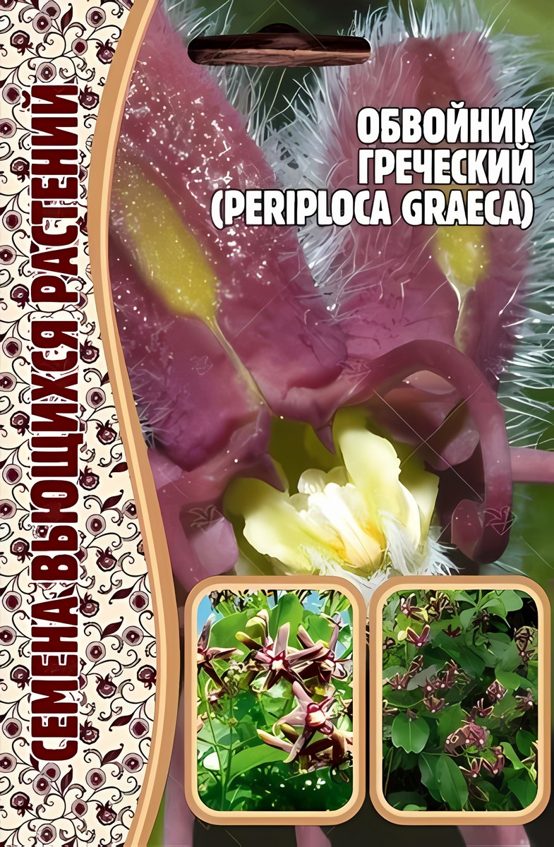 Обвойник греческий, 10 шт.