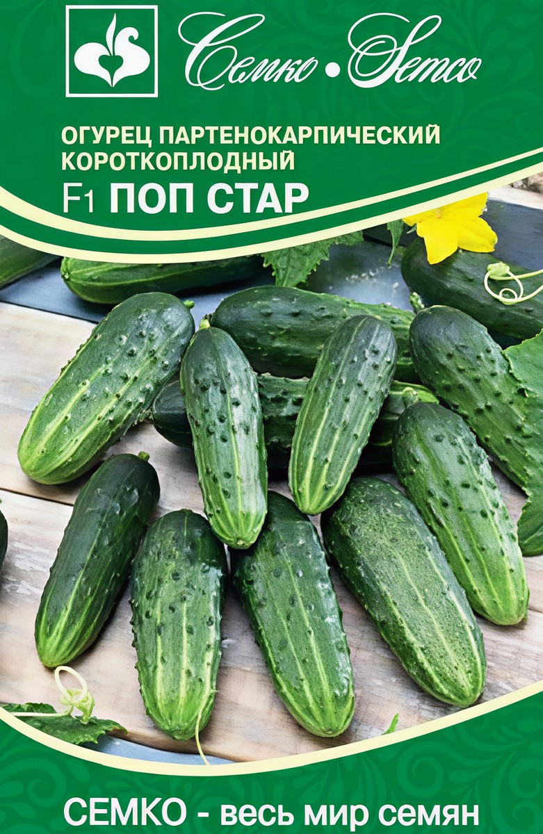 Огурец Поп Стар F1, 5 шт.