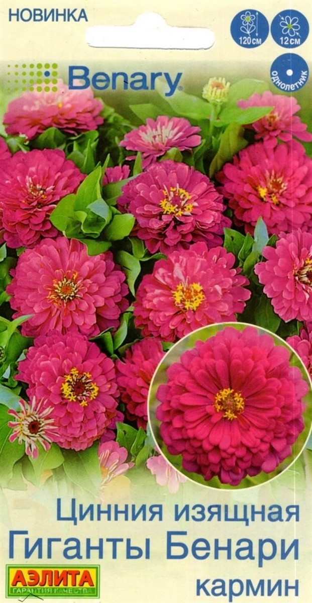 Цинния Гиганты Бенари кармин, 7 шт.