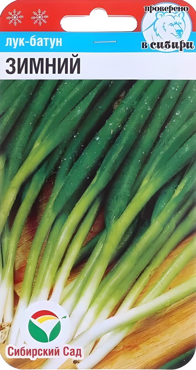 Лук Батун Зимний, 1 г. Сибирский сад