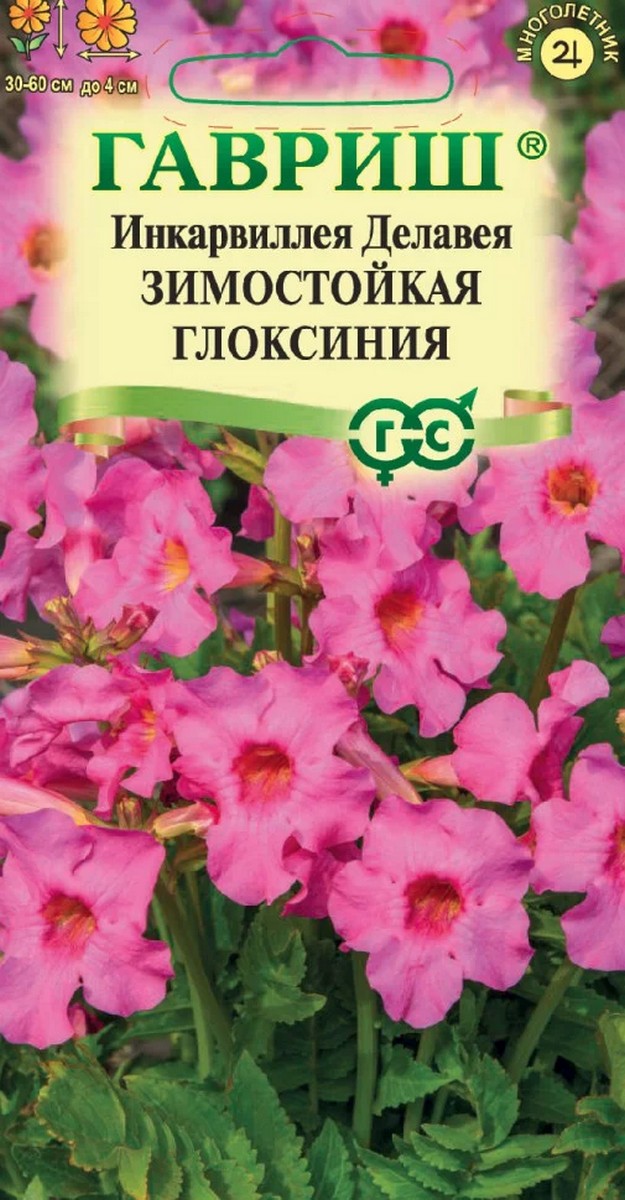 Инкарвиллея Делавея Зимостойкая глоксиния, 0,1 г