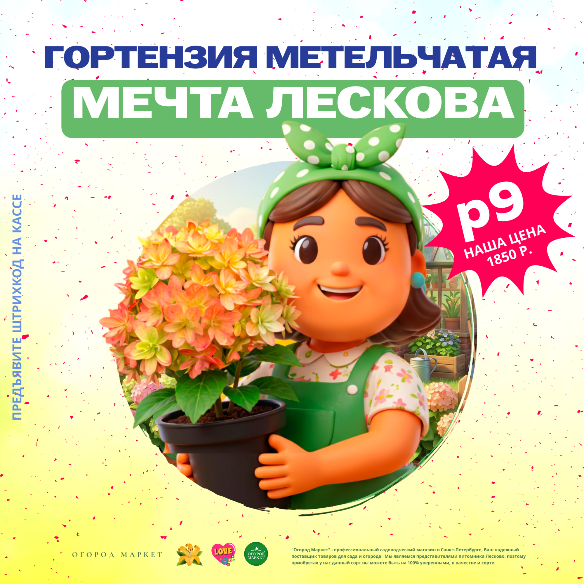 Гортензия метельчатая "Мечта Лесково" и "Краса Лесково" Гортензия метельчатая "Мечта Лесково" и "Краса Лесково"