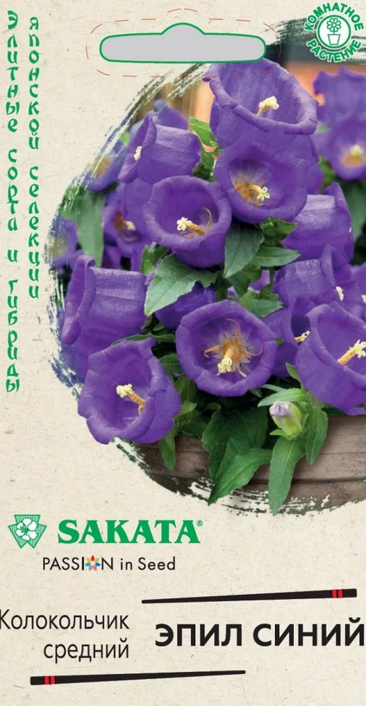 Колокольчик средний Эпил синий, 3 шт. Саката.