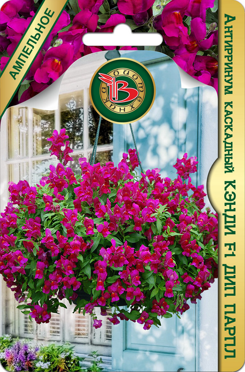 Антирринум каскадный Кэнди Дип Парпл F1, 5 шт. Ампельное Биотехника