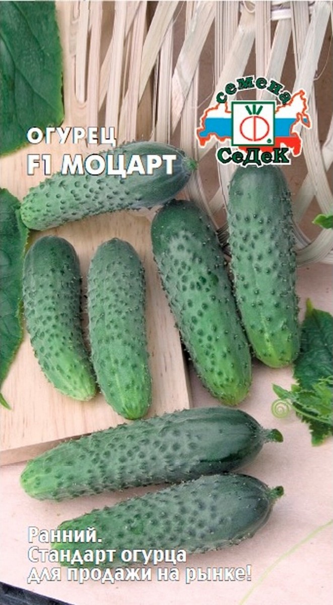 Огурец Моцарт F1, 8 шт.