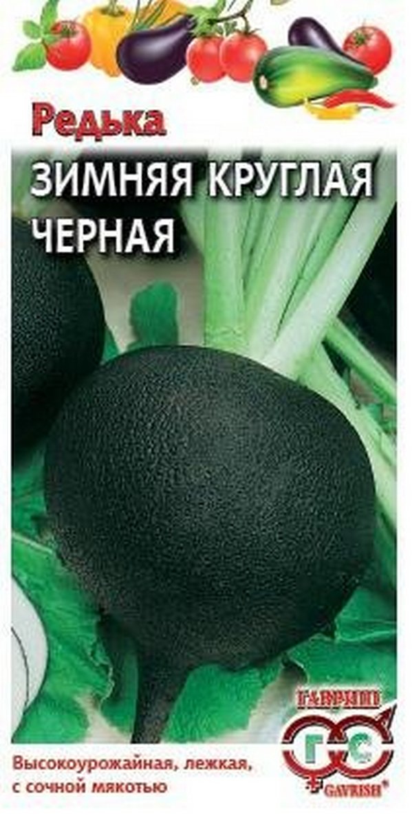 Редька Зимняя круглая чёрная, 1 г. Гавриш.