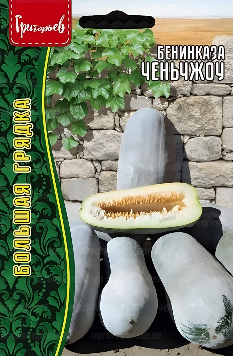 Тыква восковая, Бенинказа Ченьчжоу, 5 шт. 