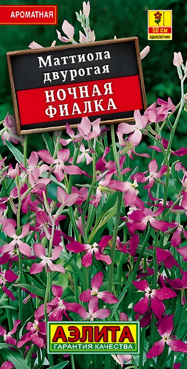 Маттиола Ночная фиалка, 0,5 г